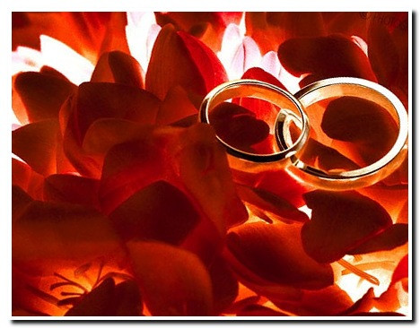 https://serpantinidey.ru/Как устроить оловянную -розовую свадьбу, 10-летие свадьбы