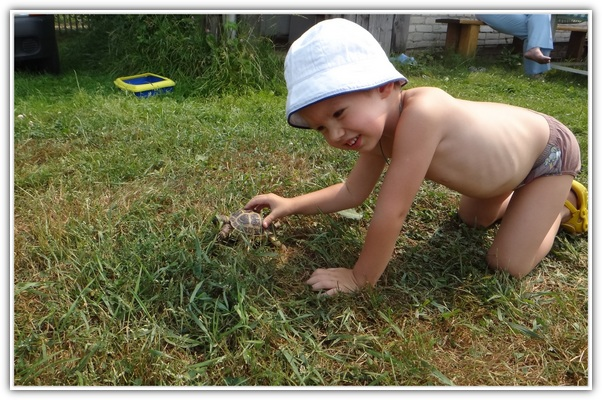https://serpantinidey.ru/Как развлечь детей летом?! Развивающие игры на природе.